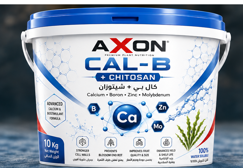 AXON CAL-B